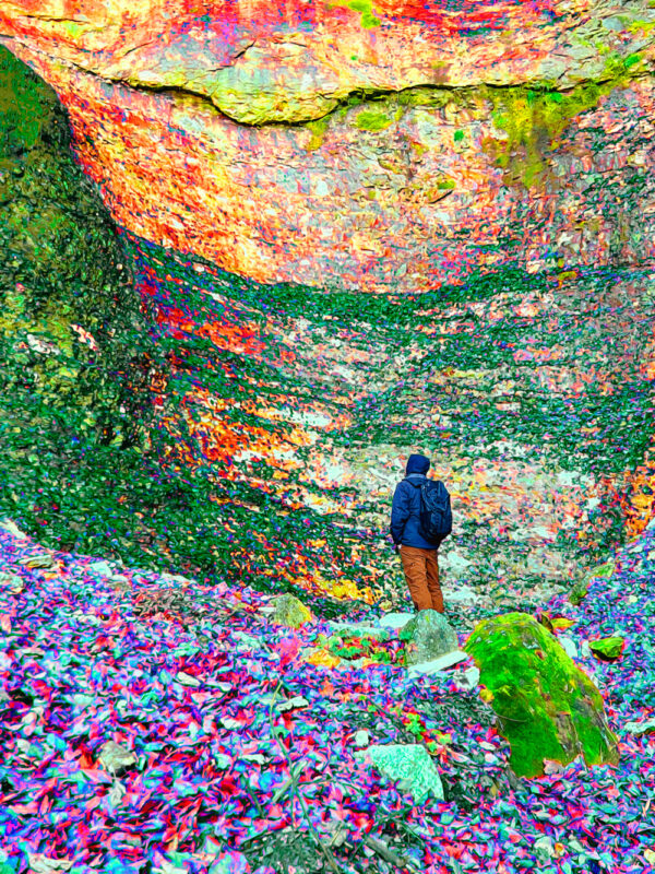 Un viaggiatore è immerso in un paesaggio naturale irreale, come fosse un quadro, un'esplosione di colori che riproduce un ambiente naturale