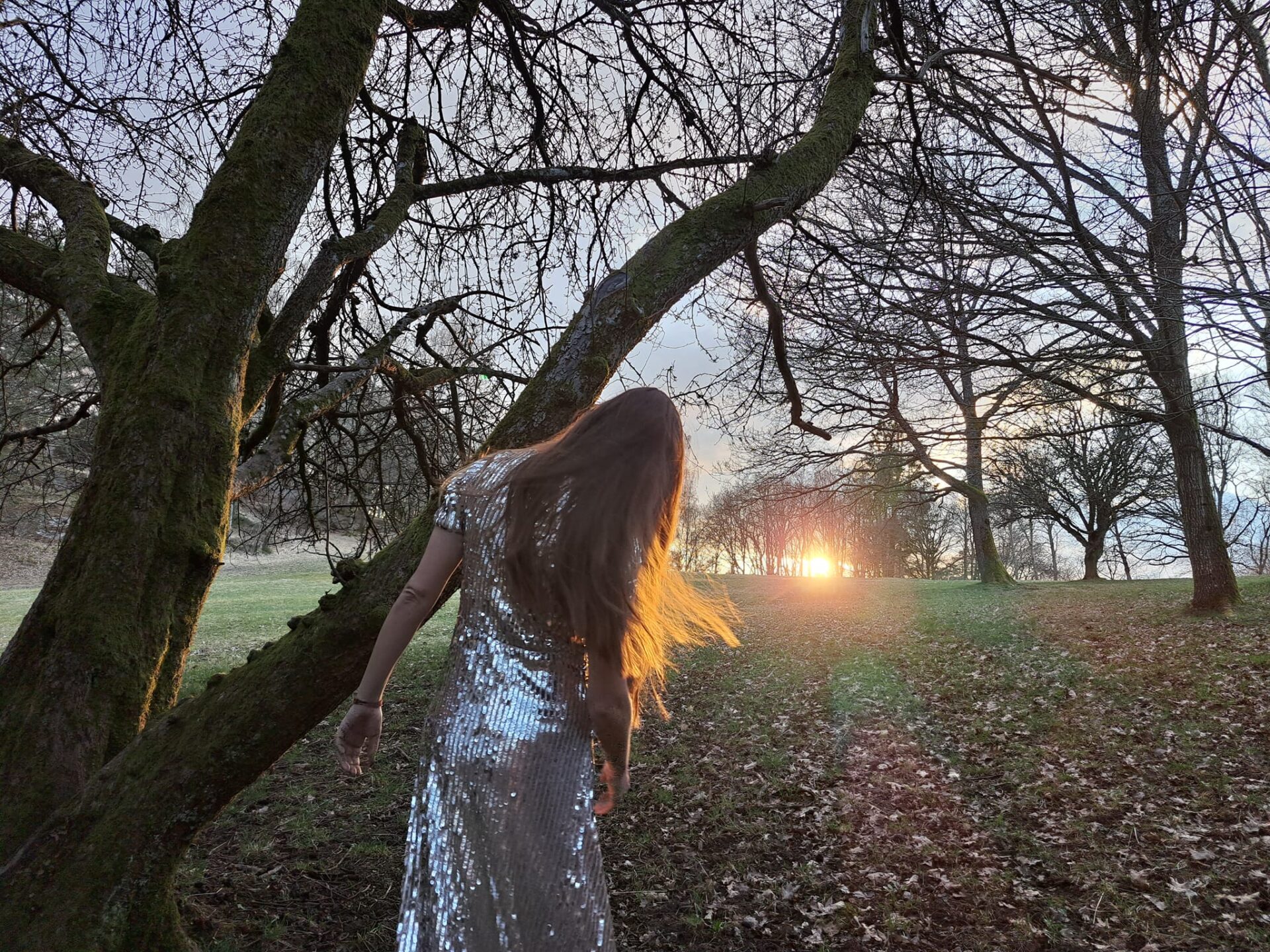 Una donna di spalle in abito argento sta al tramonto rivolta verso un prato con alberi spogli